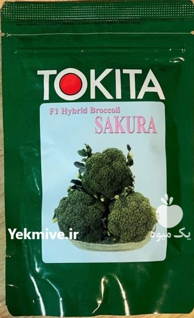 بذر کلم بروکلی ساکورا توکیتا در همدان در گروه خرید و فروش انواع بذر در یکمیوه -عکس1