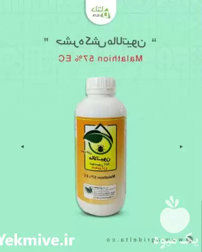 قیمت خرید حشره کش مالاتیون در کرج در گروه خرید و فروش انواع سم در یکمیوه -عکس1