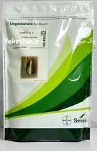 بذر کدو کلاریتا Seminis بذر کدو در همدان در گروه خرید و فروش بذر کدو در یکمیوه