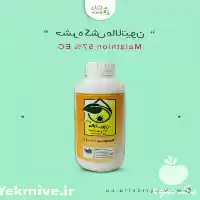 قیمت خرید حشره کش مالاتیون در کرج در گروه خرید و فروش انواع سم در یکمیوه