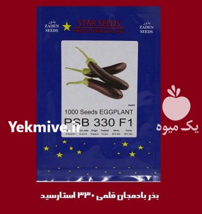 فروش بذر بادمجان استار سیدز هلند در اصفهان در گروه خرید و فروش بذر بادمجان در یکمیوه -عکس1