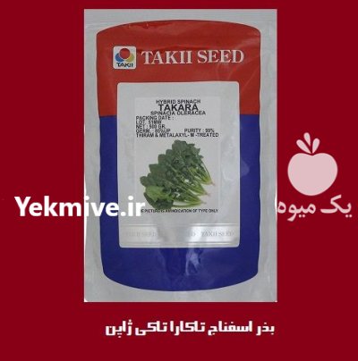 فروش بذر اسفناج تاکارا تاکی ژاپن در اصفهان در گروه خرید و فروش انواع بذر در یکمیوه -عکس1