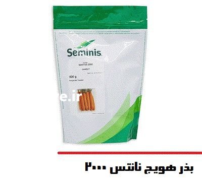 فروش بذر هویج نانتس 2000 SEMINIS در گروه خرید و فروش بذر هویج در یکمیوه -عکس1