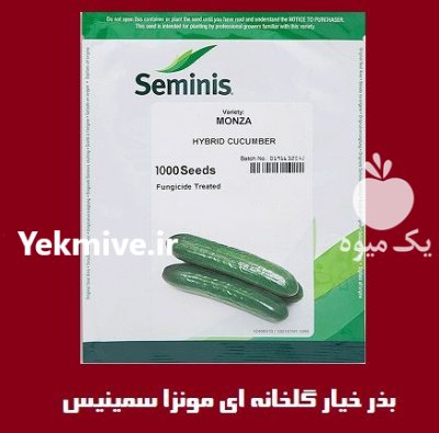 بذر خیار گلخانه ای مونزا سمینیس در اصفهان در گروه خرید و فروش بذر خیار در یکمیوه -عکس1