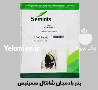 بذر بادمجان CHANTALE سمینیس آمریکا در اصفهان در گروه خرید و فروش بذر بادمجان در یکمیوه -عکس1