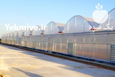 قیمت خرید سازه گلخانه در کرج در البرز در گروه خرید و فروش سوله و سازه گلخانه در یکمیوه -عکس1