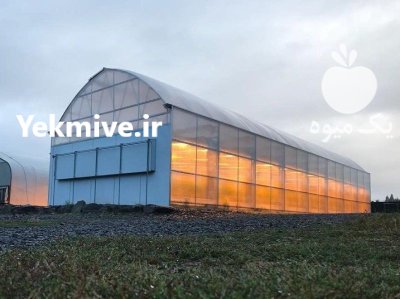 گلخانه گلخانه سازی فروش مصالح لوله در گروه خرید و فروش سوله و سازه گلخانه در یکمیوه -عکس2