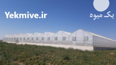 گلخانه گلخانه سازی فروش مصالح لوله در گروه خرید و فروش سوله و سازه گلخانه در یکمیوه -عکس1