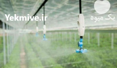 گلخانه گلخانه سازی فروش مصالح لوله در گروه خرید و فروش سوله و سازه گلخانه در یکمیوه -عکس3