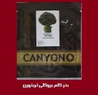 بذر کلم بروکلی تریتورن کانیون ایتالیا در اصفهان در گروه خرید و فروش انواع بذر در یکمیوه