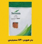 فروش بذر هویج 1140 سمینیس بذر در اصفهان در گروه خرید و فروش بذر هویج در یکمیوه
