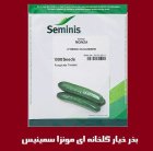 بذر خیار گلخانه ای مونزا سمینیس در اصفهان در گروه خرید و فروش بذر خیار در یکمیوه