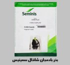 بذر بادمجان CHANTALE سمینیس آمریکا در اصفهان در گروه خرید و فروش بذر بادمجان در یکمیوه