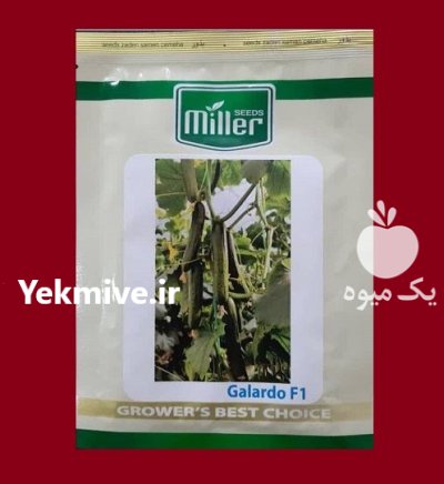 بذر خیار گلخانه ای پرگل گالاردو در تهران در گروه خرید و فروش بذر خیار در یکمیوه -عکس1