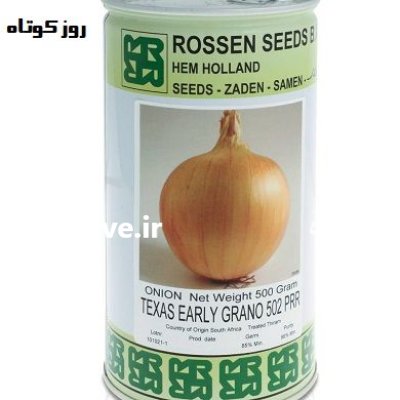 فروش بذر پیاز تگزاس ارلی گرانو در تهران در گروه خرید و فروش بذر پیاز در یکمیوه -عکس1