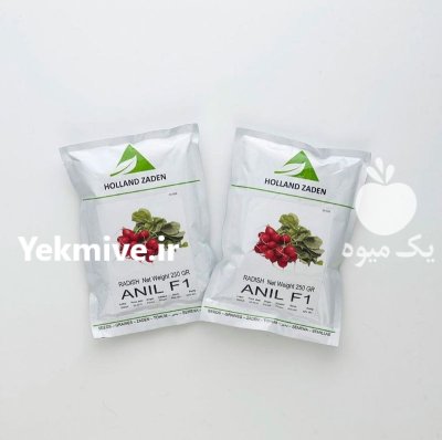 قیمت بذر تربچه آنیل در گروه خرید و فروش انواع بذر در یکمیوه -عکس1