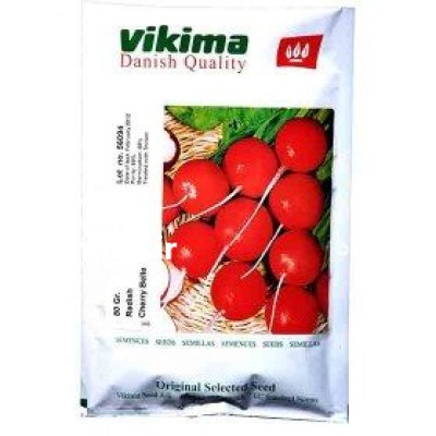 قیمت بذر تربچه ویکیما در گرگان در گروه خرید و فروش انواع بذر در یکمیوه -عکس1