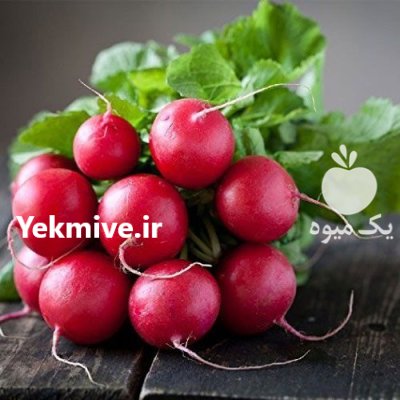 قیمت بذر تربچه ویکیما در گرگان در گروه خرید و فروش انواع بذر در یکمیوه -عکس2