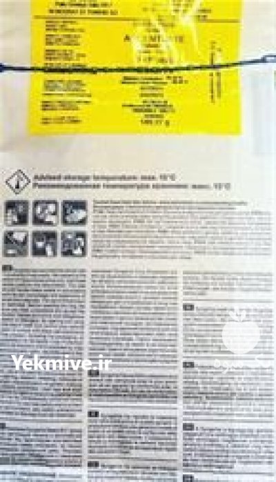 قیمت بذر ذرت اکسن چوئیت در گروه خرید و فروش بذر ذرت در یکمیوه -عکس3