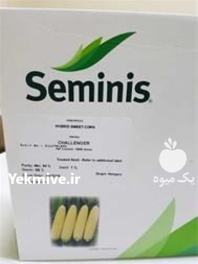 قیمت بذر ذرت مسنجر در کرمانشاه در گروه خرید و فروش بذر ذرت در یکمیوه -عکس1