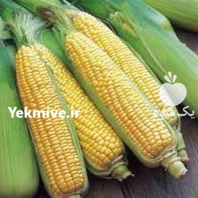 قیمت بذر ذرت مسنجر در کرمانشاه در گروه خرید و فروش بذر ذرت در یکمیوه -عکس3