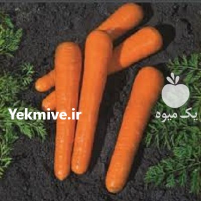 قیمت بذر هویج اپتیمو ویلمورین فرانسه در گروه خرید و فروش بذر هویج در یکمیوه -عکس2