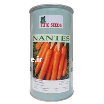 قیمت بذر هویج نانتس فروش بذر در همدان در گروه خرید و فروش بذر هویج در یکمیوه -عکس1