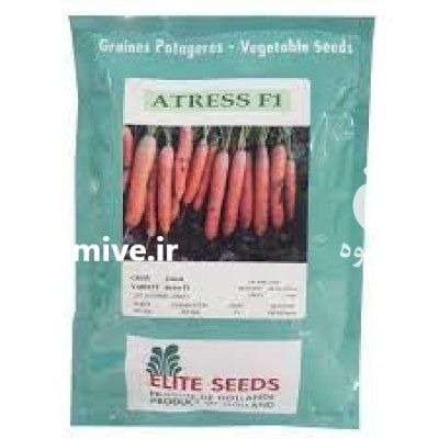 قیمت بذر هویج نانتس فروش بذر در همدان در گروه خرید و فروش بذر هویج در یکمیوه -عکس2