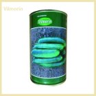 فروش بذر خیار کروز ویلمورین فرانسه در تهران در گروه خرید و فروش بذر خیار در یکمیوه