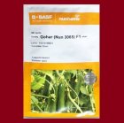 فروش بذر خیار گلخانه ای پرگل در تهران در گروه خرید و فروش بذر خیار در یکمیوه