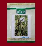 بذر خیار گلخانه ای پرگل گالاردو در تهران در گروه خرید و فروش بذر خیار در یکمیوه