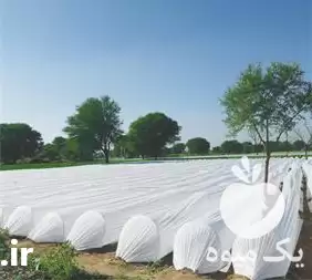 تولید و فروش کاورهای ضد سرما در فراشبند در گروه خرید و فروش انواع پوشش ها در یکمیوه -عکس1