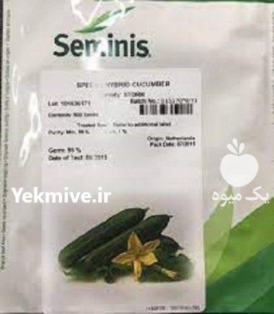 قیمت بذر خیار استورم بذر گلخانه در زنجان در گروه خرید و فروش بذر خیار در یکمیوه -عکس1