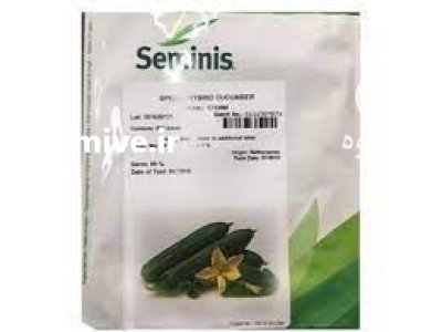 قیمت بذر خیار استورم بذر گلخانه در زنجان در گروه خرید و فروش بذر خیار در یکمیوه -عکس2