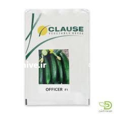 قیمت بذر خیار افیسر در گروه خرید و فروش بذر خیار در یکمیوه -عکس2