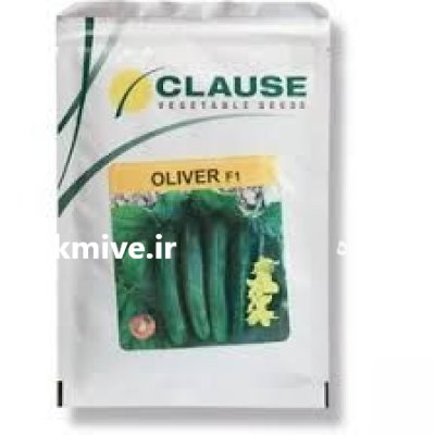 فروش بذر خیار اورکا در شیراز در گروه خرید و فروش بذر خیار در یکمیوه -عکس3