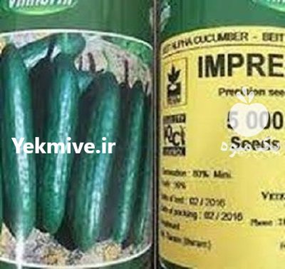 قیمت بذر خیار ایمپرس در گروه خرید و فروش بذر خیار در یکمیوه -عکس1