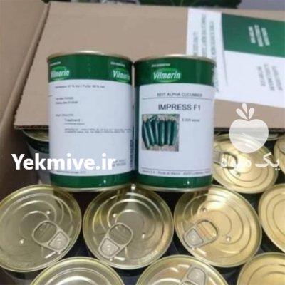 قیمت بذر خیار ایمپرس در گروه خرید و فروش بذر خیار در یکمیوه -عکس3