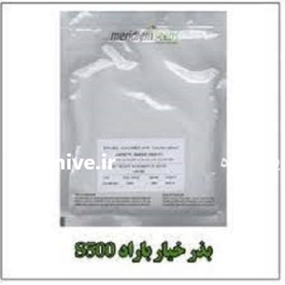 قیمت بذر خیار باراد در قزوین در گروه خرید و فروش بذر خیار در یکمیوه -عکس3