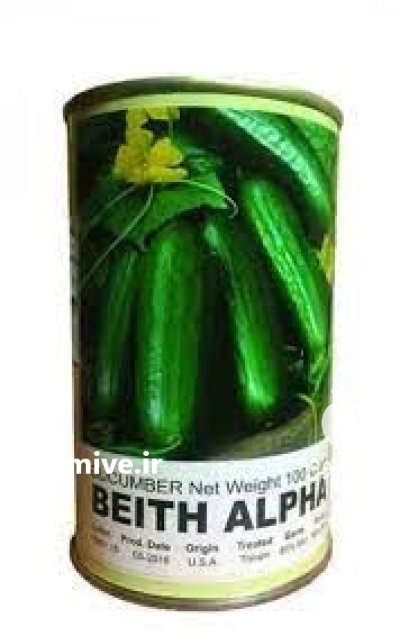 قیمت بذر خیار بیت آلفا در ایلام در گروه خرید و فروش بذر خیار در یکمیوه -عکس2