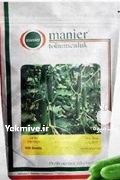قیمت بذر خیار MRC 07 بذر خیار در زنجان در گروه خرید و فروش بذر خیار در یکمیوه -عکس1