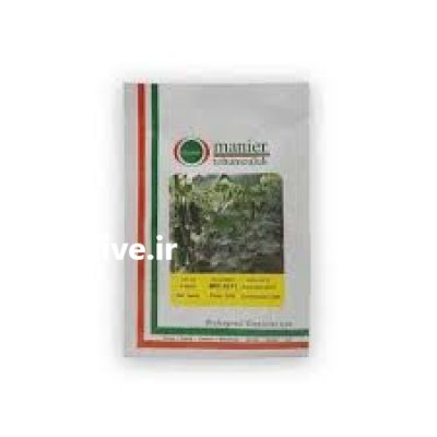 قیمت بذر خیار MRC 07 بذر خیار در زنجان در گروه خرید و فروش بذر خیار در یکمیوه -عکس3