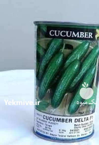 قیمت بذر خیار دلتا در خرم آباد در گروه خرید و فروش بذر خیار در یکمیوه -عکس3