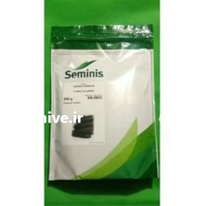 فروش بذر خیار سوپر دومینوس در گروه خرید و فروش بذر خیار در یکمیوه -عکس2