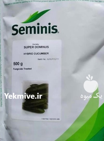 فروش بذر خیار سوپر دومینوس در گروه خرید و فروش بذر خیار در یکمیوه -عکس3