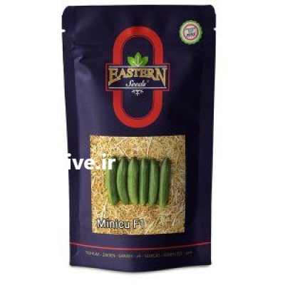 قیمت بذر خیار رومان در رامسر در گروه خرید و فروش بذر خیار در یکمیوه -عکس1