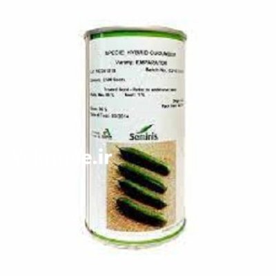 قیمت بذر خیار امپراطور در گروه خرید و فروش بذر خیار در یکمیوه -عکس2