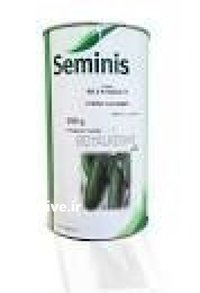 قیمت بذر خیار سوپر رویال در یزد در گروه خرید و فروش بذر خیار در یکمیوه -عکس1