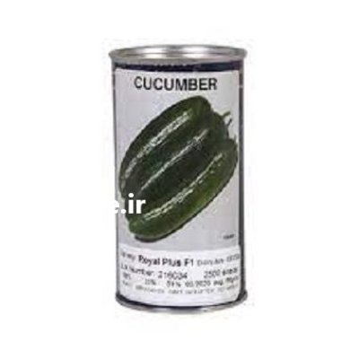 قیمت بذر خیار سوپر رویال در یزد در گروه خرید و فروش بذر خیار در یکمیوه -عکس2