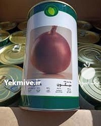 بذر پیاز میگون فلات در آب بر در گروه خرید و فروش بذر پیاز در یکمیوه -عکس1